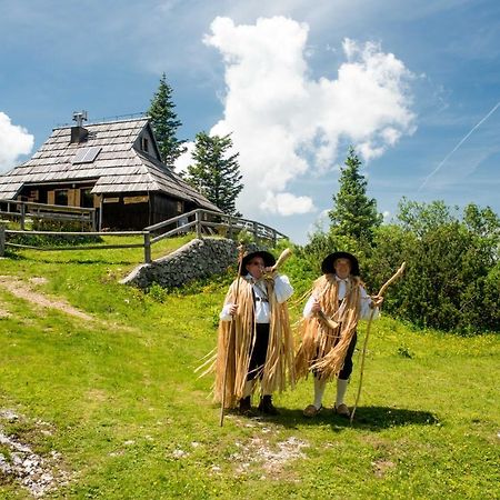 Chalet Tisa Velika Planina Stahovica 外观 照片