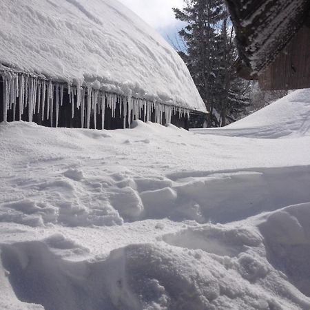 Chalet Tisa Velika Planina Stahovica 外观 照片