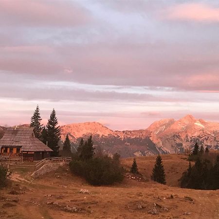 Chalet Tisa Velika Planina Stahovica 外观 照片