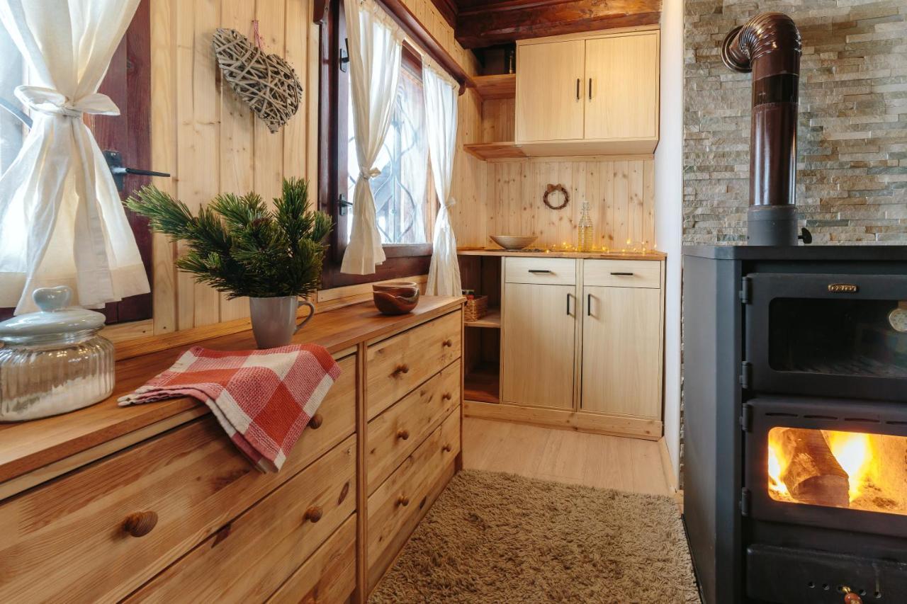 Chalet Tisa Velika Planina Stahovica 外观 照片