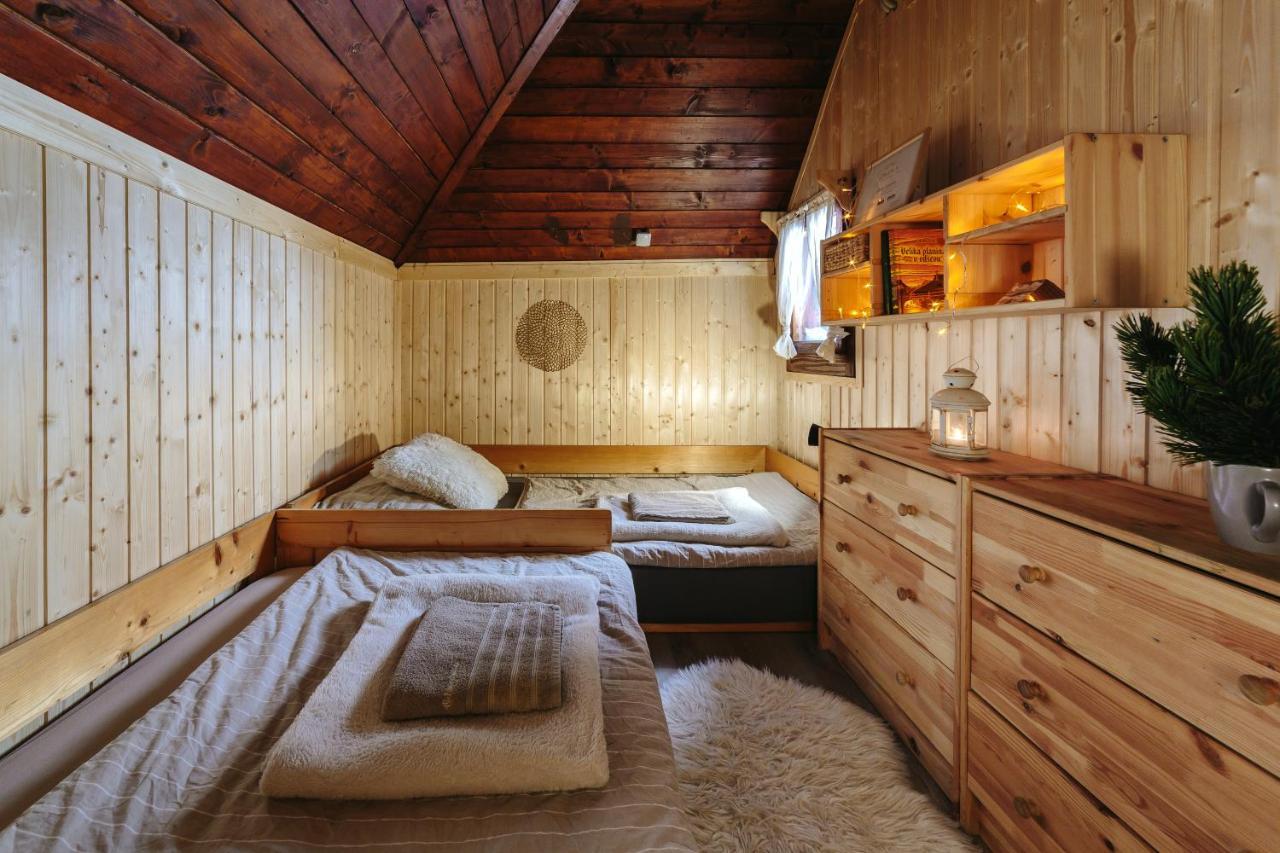 Chalet Tisa Velika Planina Stahovica 外观 照片