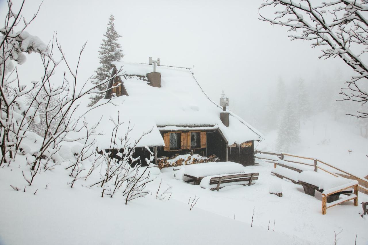 Chalet Tisa Velika Planina Stahovica 外观 照片