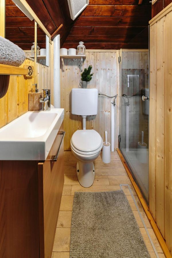 Chalet Tisa Velika Planina Stahovica 外观 照片