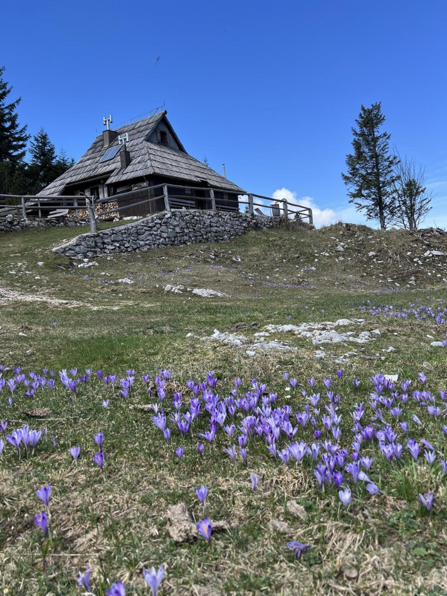 Chalet Tisa Velika Planina Stahovica 外观 照片