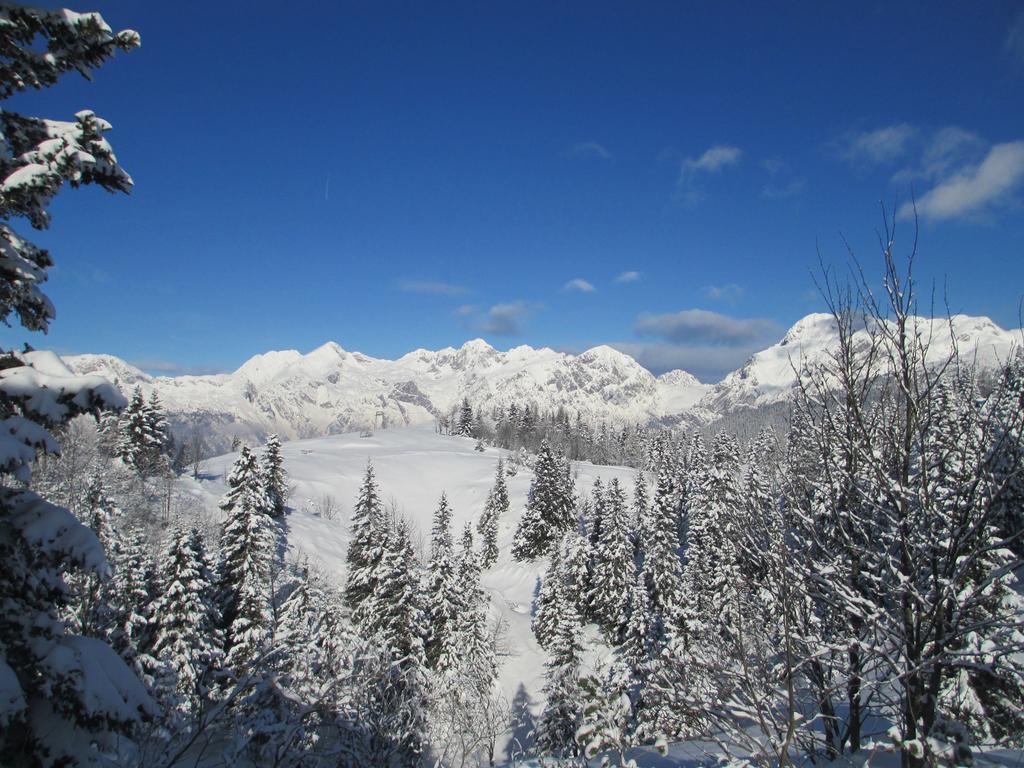 Chalet Tisa Velika Planina Stahovica 客房 照片