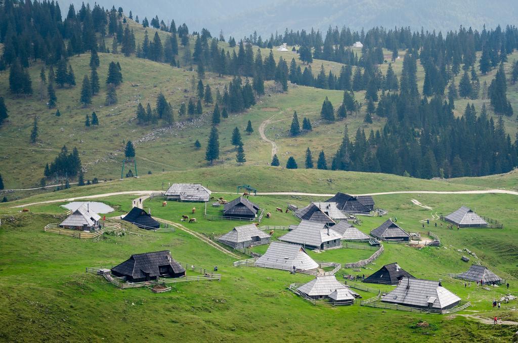 Chalet Tisa Velika Planina Stahovica 客房 照片