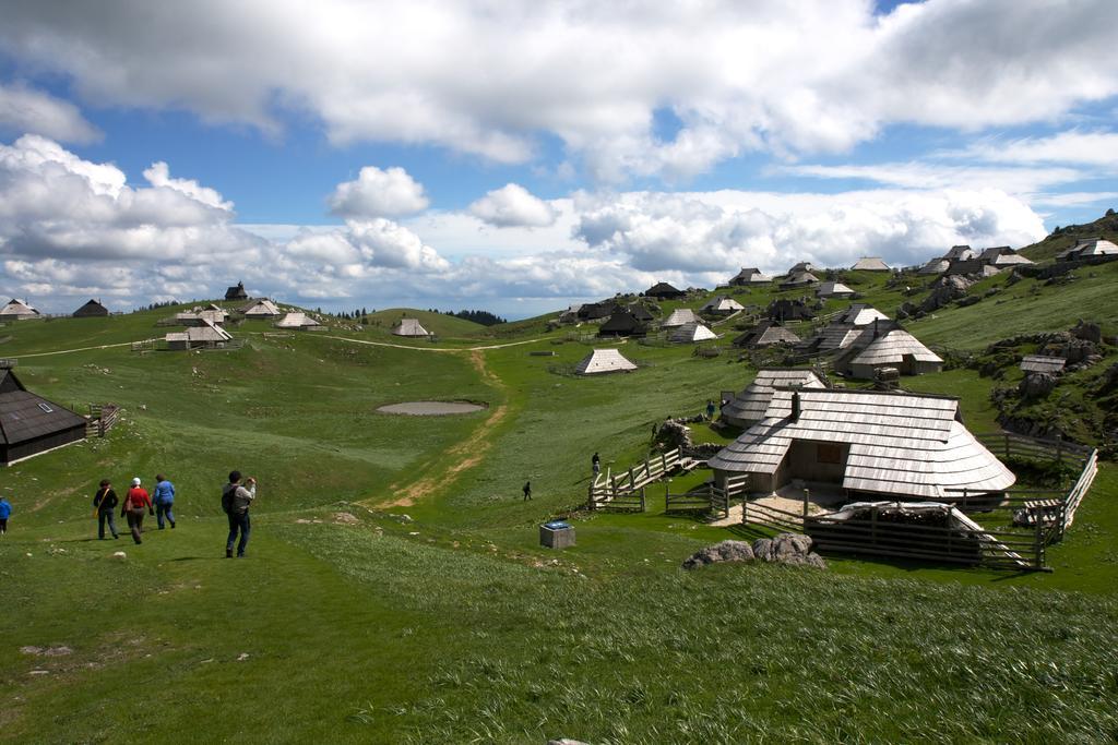 Chalet Tisa Velika Planina Stahovica 客房 照片