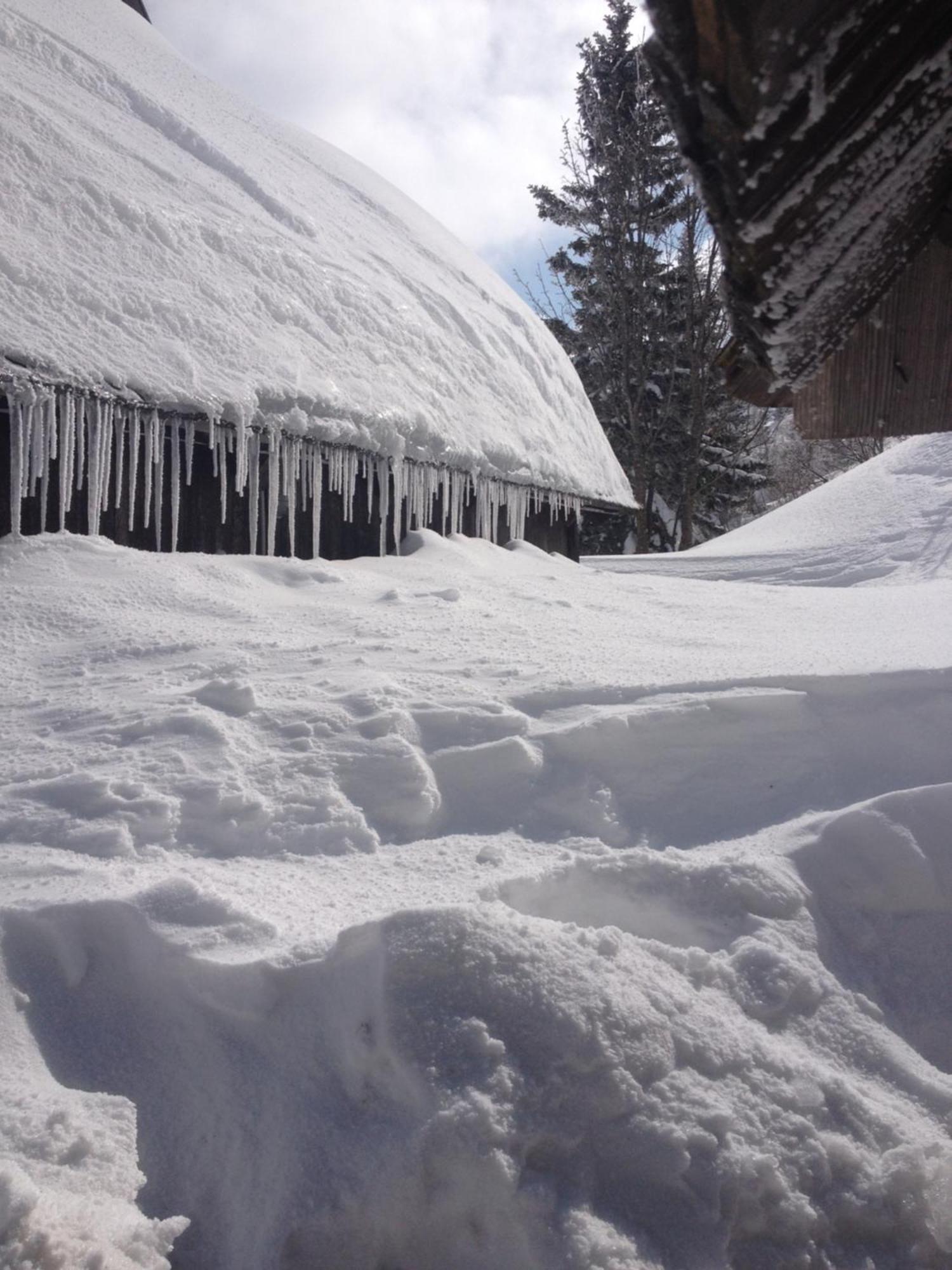 Chalet Tisa Velika Planina Stahovica 外观 照片