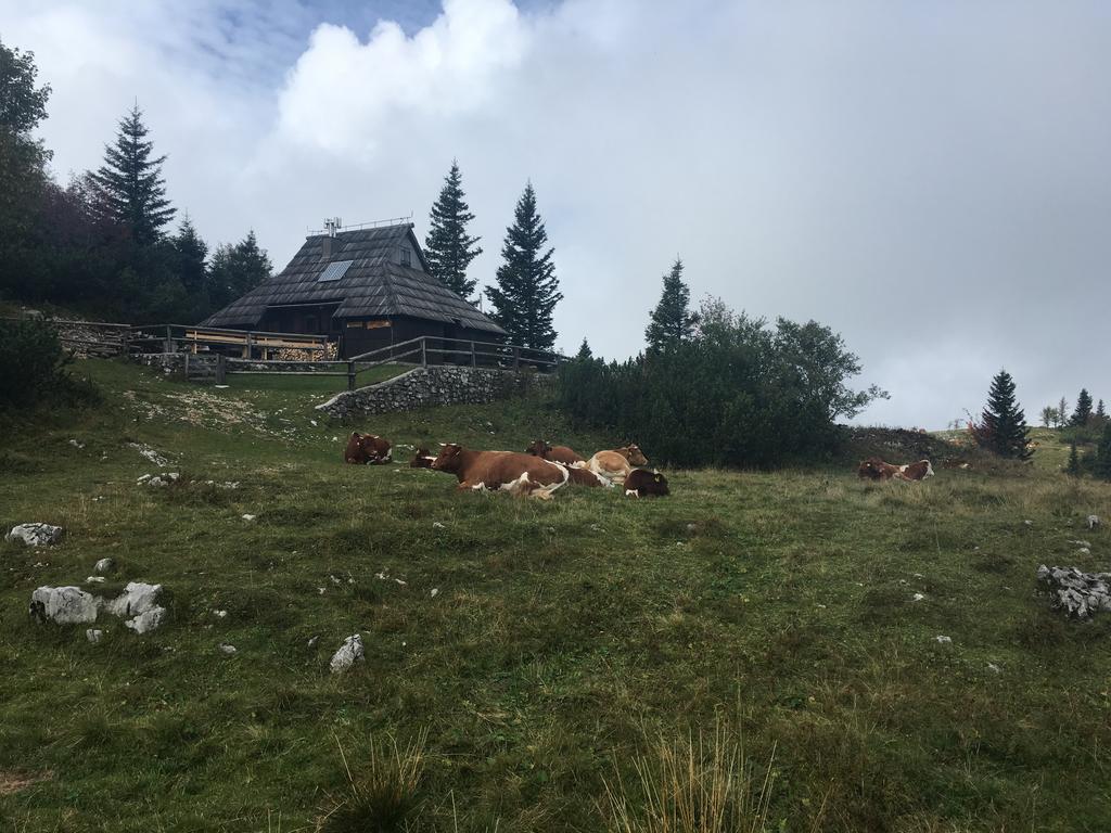 Chalet Tisa Velika Planina Stahovica 外观 照片