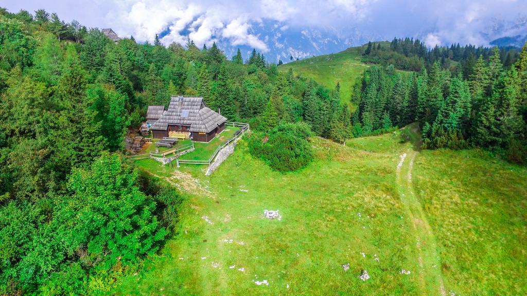 Chalet Tisa Velika Planina Stahovica 外观 照片