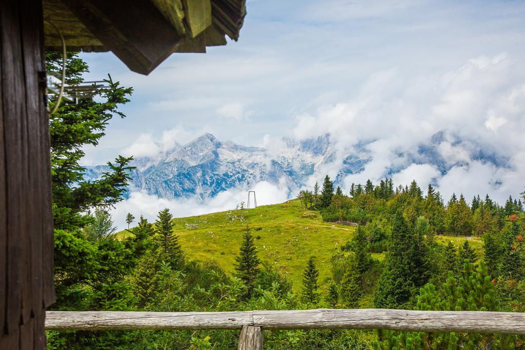 Chalet Tisa Velika Planina Stahovica 外观 照片