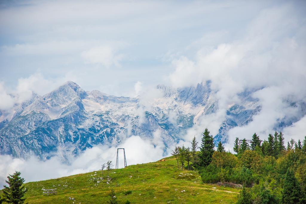 Chalet Tisa Velika Planina Stahovica 外观 照片