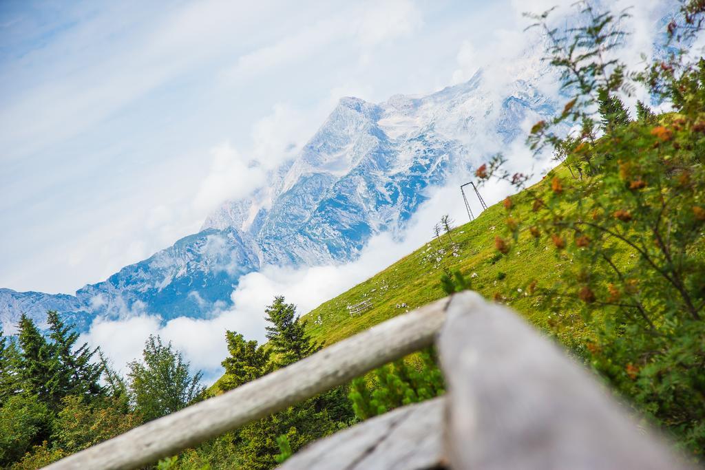 Chalet Tisa Velika Planina Stahovica 外观 照片