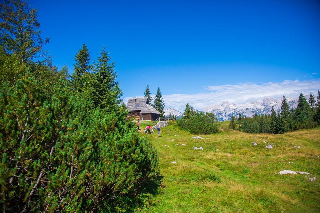Chalet Tisa Velika Planina Stahovica 外观 照片