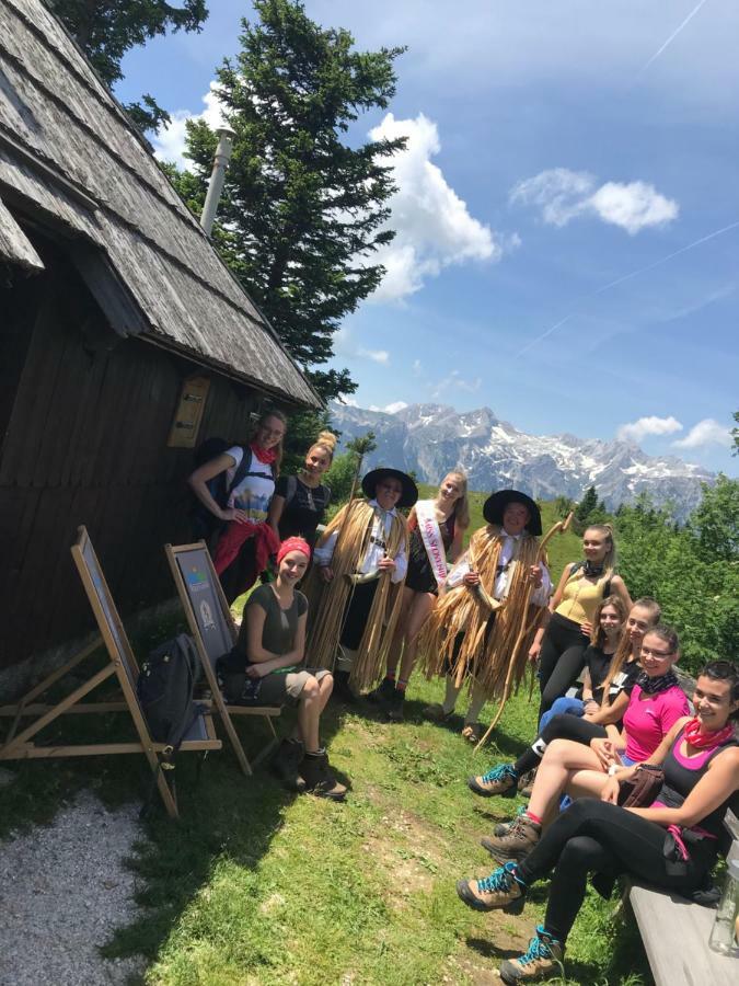 Chalet Tisa Velika Planina Stahovica 外观 照片