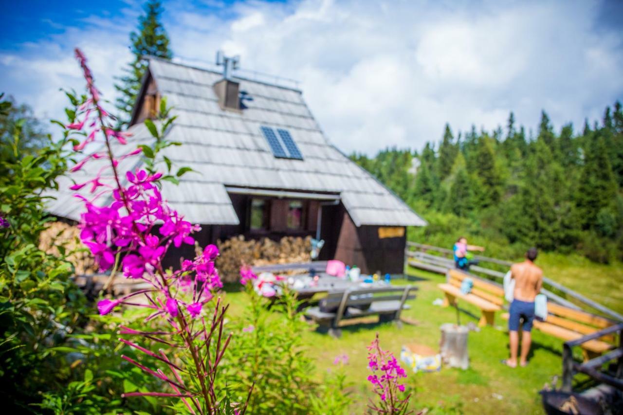Chalet Tisa Velika Planina Stahovica 外观 照片