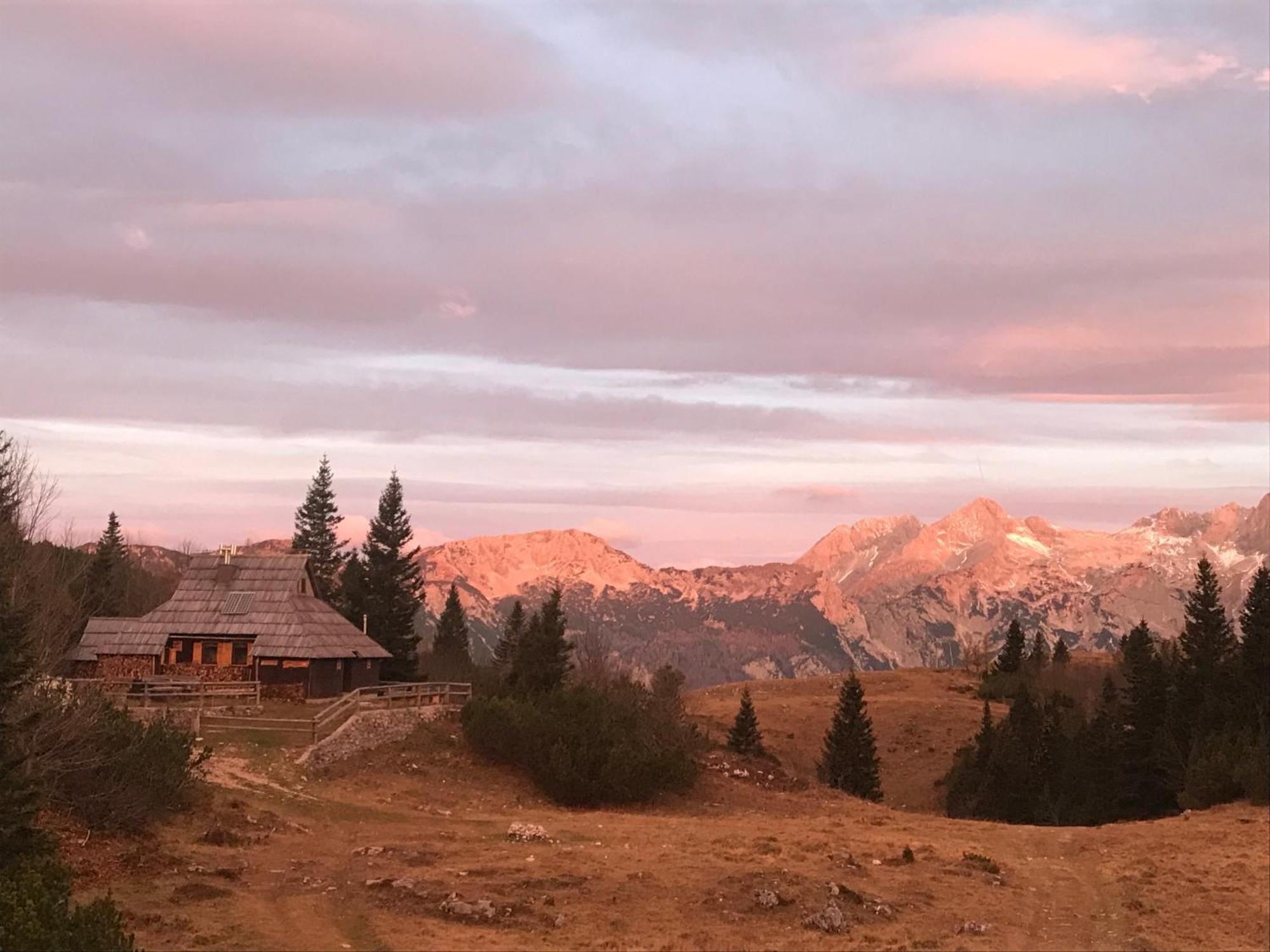 Chalet Tisa Velika Planina Stahovica 外观 照片