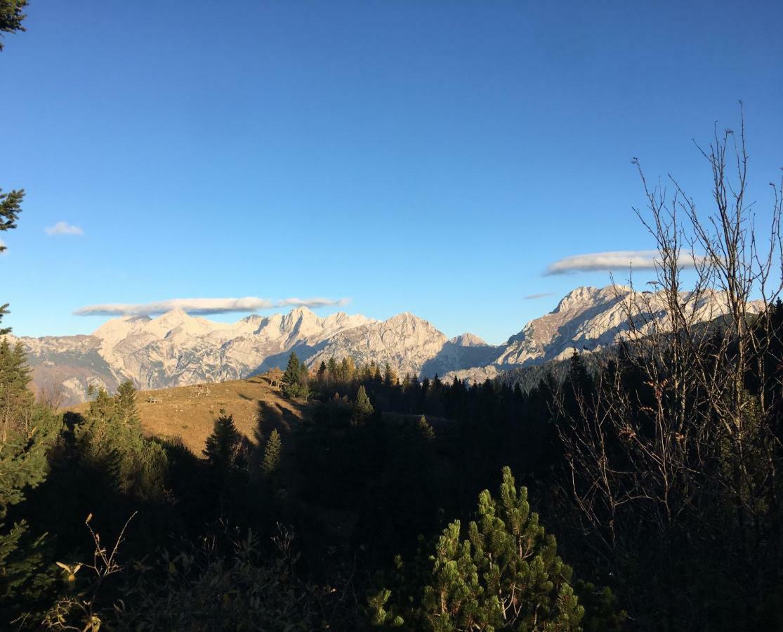 Chalet Tisa Velika Planina Stahovica 外观 照片
